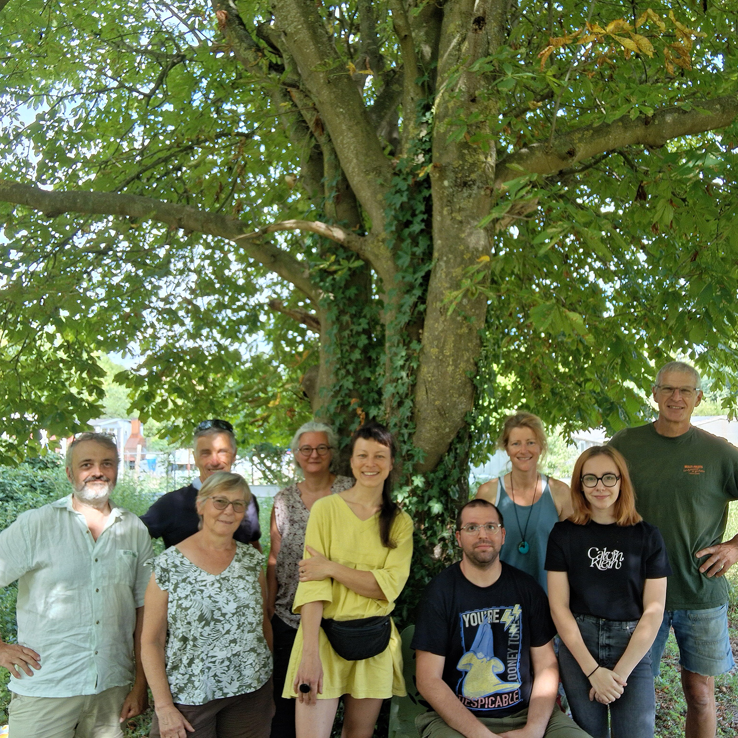 Marne (51)